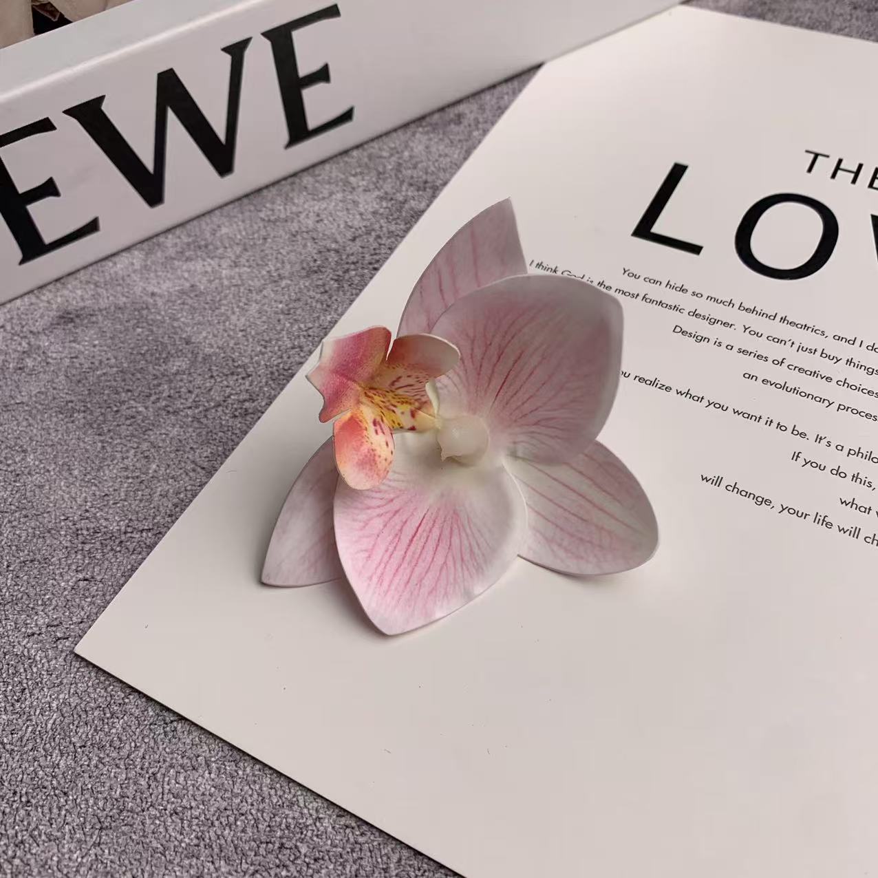 미니 호접란 꽃잎 파우더 7