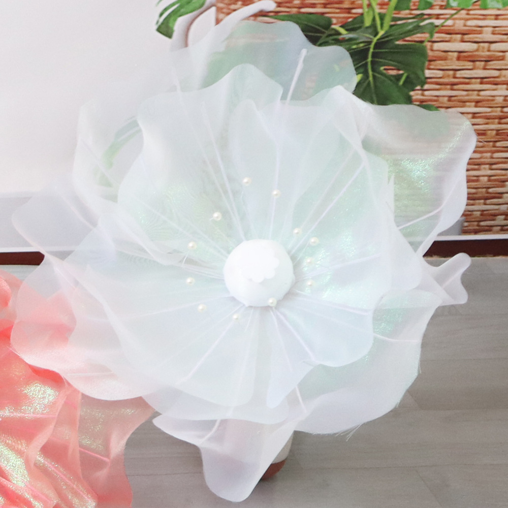 흰 꽃 머리 직경 50cm