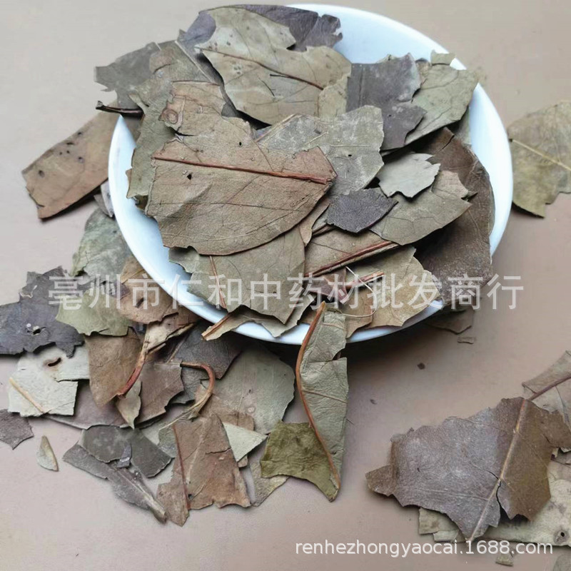 Dried Mao Dong Qing Leaf Ilex Pubescens 500g Traditional Chinese Herb for Decoction and Tea quality and texture
