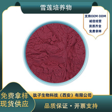 ѩɏ���B������������ɽѩɏ�������Bѩɏ����ȡѩɏ����