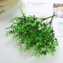 �ٻ��Gֲ���Ը��໨��řڲ廨�b���ľG�~���Ϸ����7���ȼ���