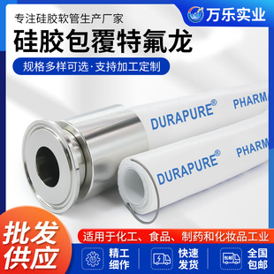 Durapure Outer Layer Silicone Covered Teflon Tube Corrosion-Resistant Smooth Medicine-Grade Ptfe Tube Soft Teflon Tube