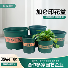 �ظ��軨�@�Nֲ��G�}�¼������ڏ����ϻ���Ӂ���@ˇ��֬����