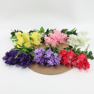 �S�����l���ŷ��滨5�^�L����޹�²��҃Ȕ[���zӰ���߻�c�b�