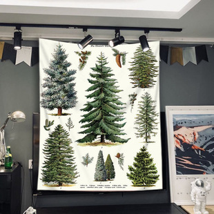 ���ɘ䱳�������g���^ɳ�l�b첼������ˇ���ڲ��Ò�̺���]�S��