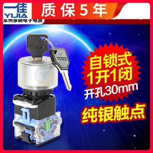 Yijia LA38-11y/21 Self-locking Power Lock Key Conversion Selection Knob 2 Gear Switch 30MM Two Gears