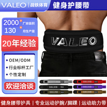VALEO���Dӡ�����o���� �e��Ӳ���\���o��Ӗ�����o�������o������