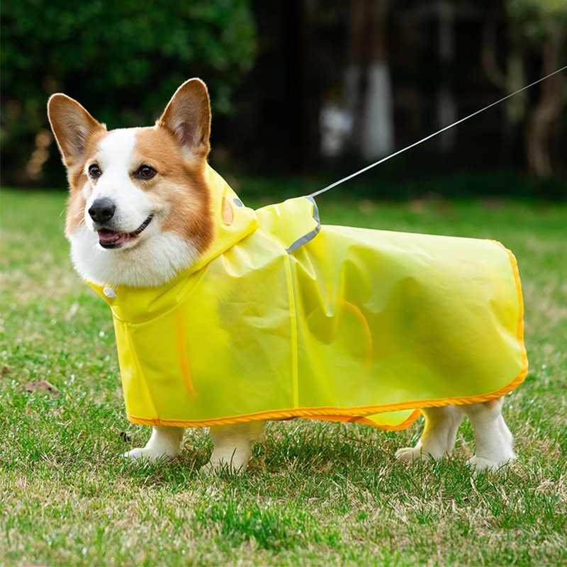 Corgi perro pato pato estilo impermeable perro pequeño perro salchicha fuera en días de lluvia ropa impermeable para perros