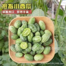 Ĵָ���ϷN��һ���ļ��N��Ƥ�ɳ�����С�����ѷN�߲�ˮ���N��