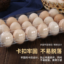 塑料透明皮蛋土雞蛋托一次性包裝盒雞蛋咸鴨蛋鵪鶉鴿子蛋包裝盒托