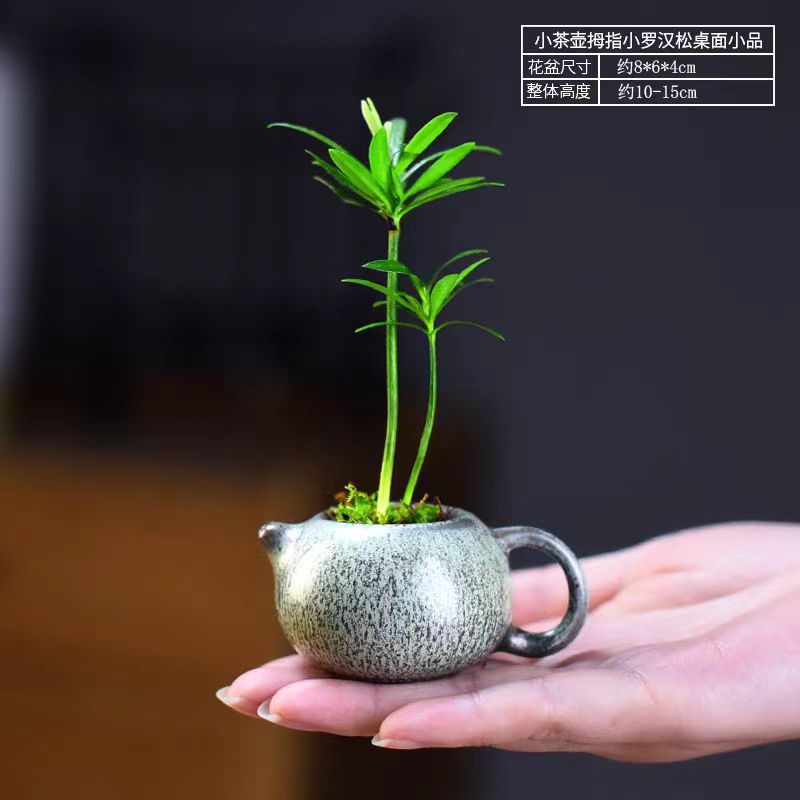 微信图片_20240526161730