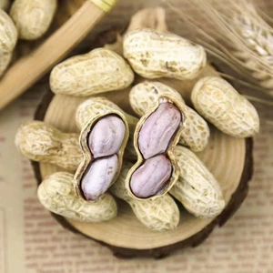 Новинка: Вареный арахис не хрустящий, жевательный и вкусный. Они не вызывают раздражения. Фирменным блюдом являются соленые сушеные жареные семена и орехи. Вкусные ракушки с пятью специями.