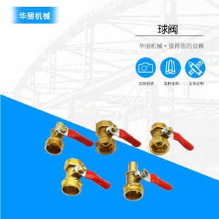 �~���y2��3��4�����y���l1/4 1/2�p�ȡ��p�⡢����z�S�~�_�P�y�T