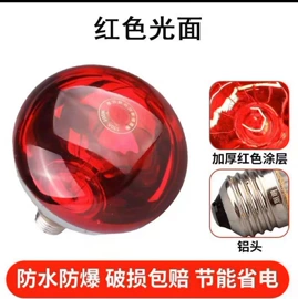 其他美容仪器;经络保健器材;照明加工