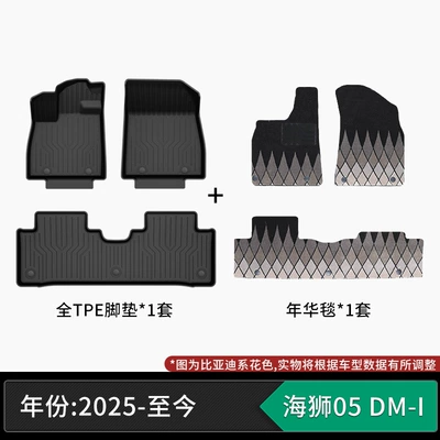 formaldehyde, non-slip and wear-resistant, Modelə uyğun ayaqaltı - 25-models-of-byd-sea-lion-05-dm-i-tpe-floor-mats-starry-sky-velvet-carpet