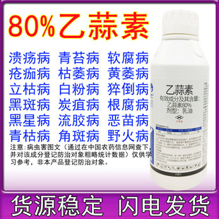 80%���������������������������ή����ݲ�����̦���rș������