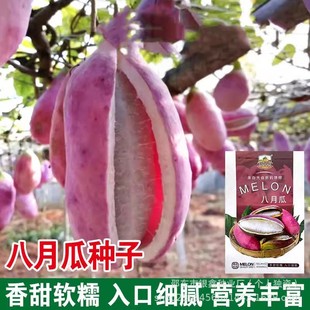 Ұ�����¹ϷN��ʮ���Ϲ�����ը�N�ѷN��ԭ�b�ļ��߲���Ʒ�NҰ��