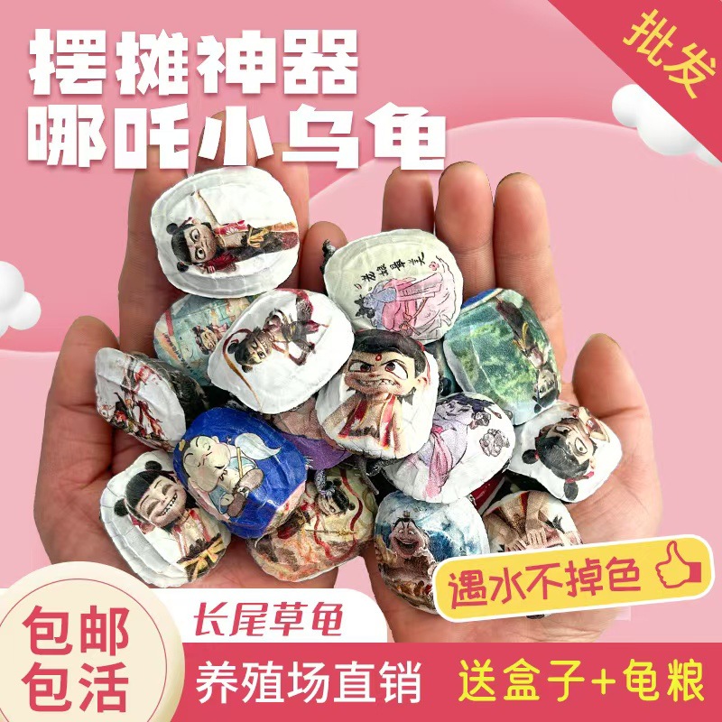 微信图片_20250419221232