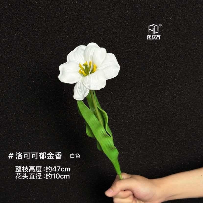 하얀색