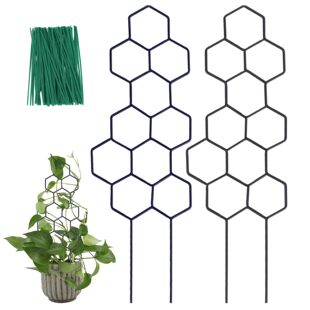 �羳������������֧��3pcsֲ��֧�μ������܈@ˇ�̶��U�S�ҿ��N��