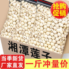 ������̶��ɏ����؛�r�ҟoоȥо�ֹ�ͨ��ɏ��Ӽ�x��