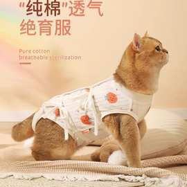 猫咪绝育服母猫手术服衣服透气戒奶服断奶服公猫防舔术后宠物猫猫