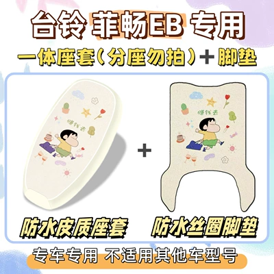 foot mats for the Tailin Feichang EB, Electric vehicle foot mat - waterproof-combo-yb-make-money-tailing-feichang-eb
