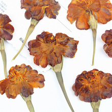 �f�۾Ղȉ���֦�����ɻ�����Ѻ�����ldiy���ϰ�ֲ��˱��滨�˱�