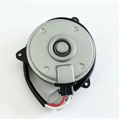 Fan fan motor