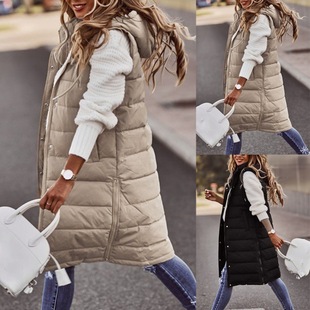 2021wish�W����ɫ�Bñ���ſ����L���޷��R��������|�_����������