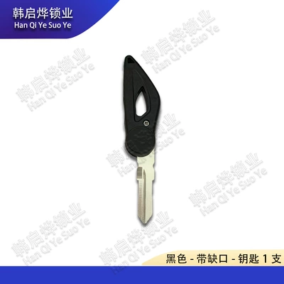 Qianjiang Benelli Huanglong Motorcycle Key