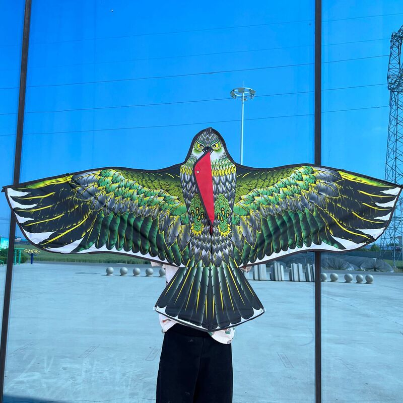 イ坊凧の新型の格子布のタカの包頭のタカの凧は鳥を驚かして多色のメーカーの卸売りをします。|undefined