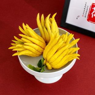 ���Fժ�F�l�����r����ֹ���֦ˮ�B���ָ��^�p��ˮ���幩���ֹ�