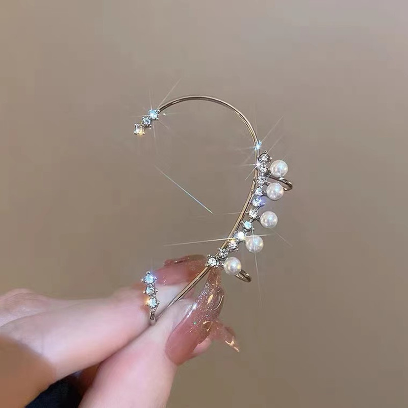 Sophisticated earrings