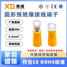 XD����RV5.5-3-4-5-6-8-10-12�A��T2���~�䉺�Ӿ����ӽ^������