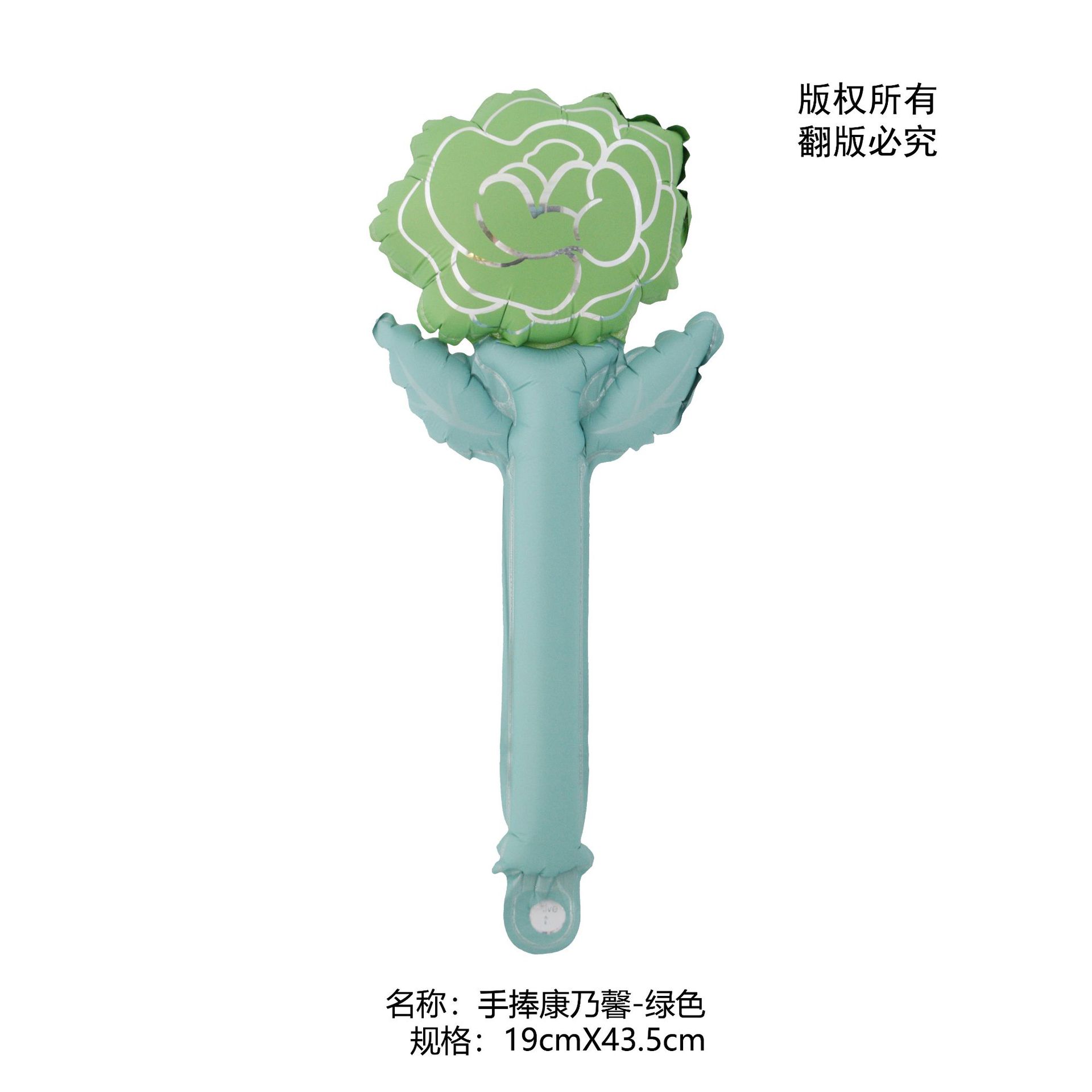 手捧康乃馨-绿色