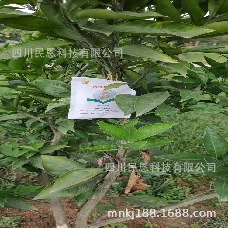 mmexport1627002222828