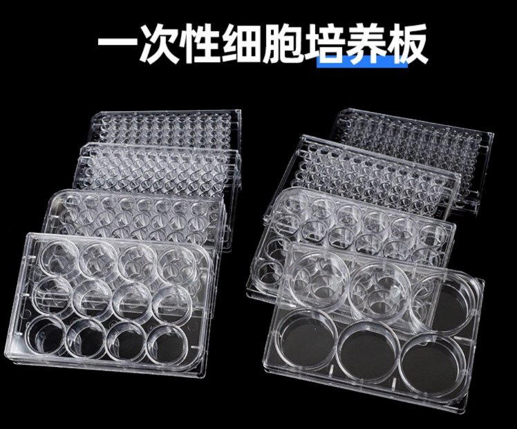 6孔12孔24孔48孔96孔培养板 细菌培养板 细胞 独立包装-阿里巴巴