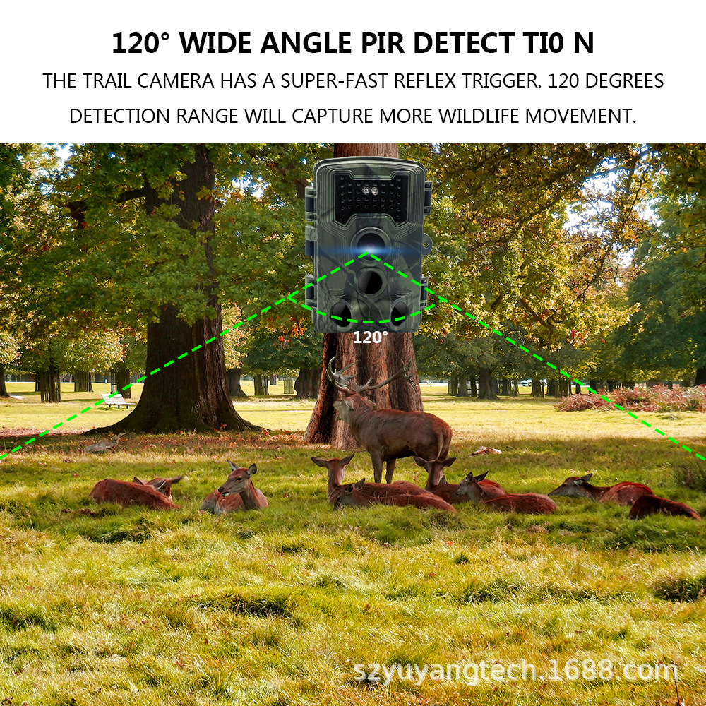Outdoor Camera 5