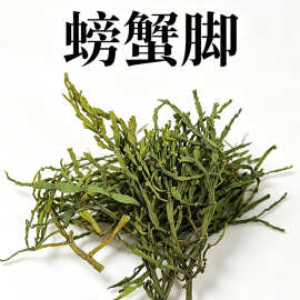 云南螃蟹脚寄生茶当季新货干品泡茶煲汤原生态茶料云南古树普洱茶