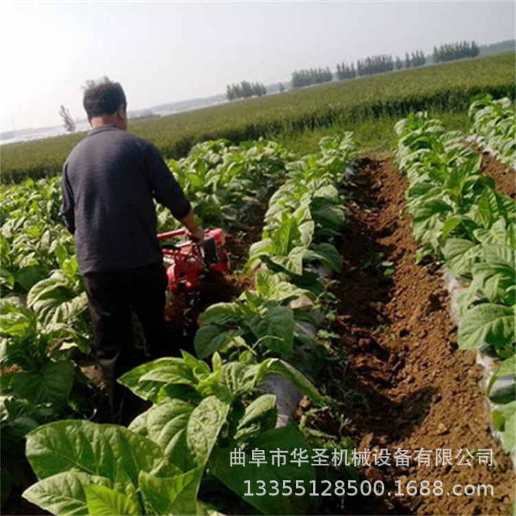 自动起垄农用开沟机 稻田免耕型小型开沟机 生姜打沟种植培土机