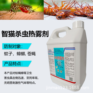4Ͱ/�䟟�F�C���x�������F���������F�͜����ș����ș�nωș