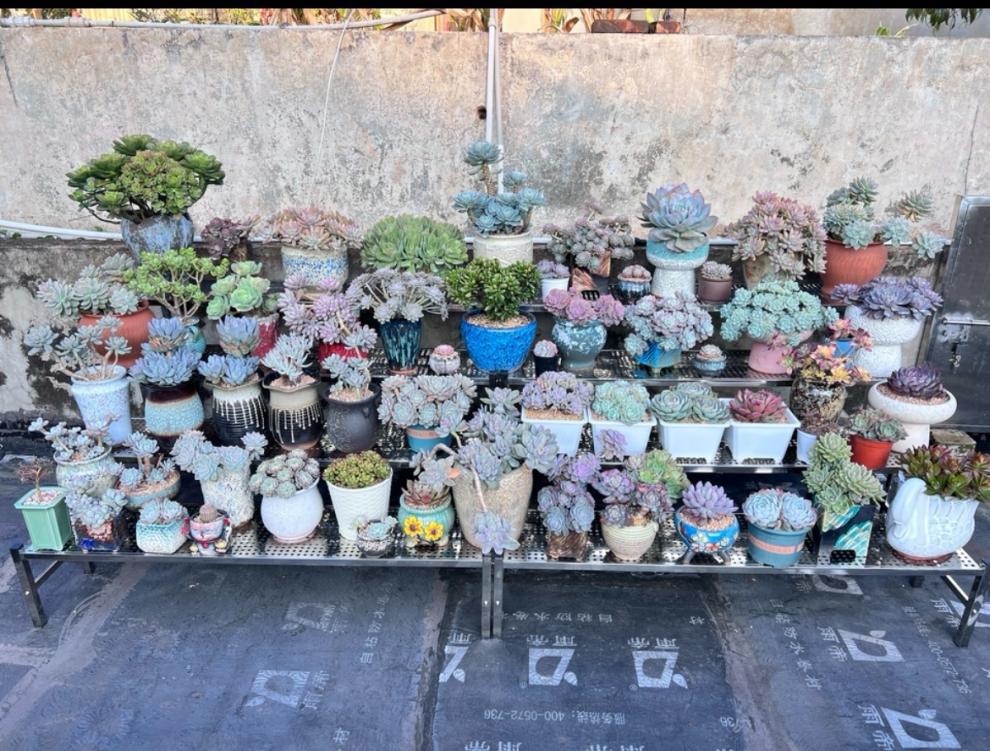 496bad1b-0812-48fc-b907-5a0be8ce4076.jpe