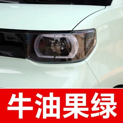 Car Color Waterproof and Rust — Avtomobil boya qələmləri - take-one-shot-and-two-color-paint-1-and-brightening-polish-1-and-then-send-a-tool-kit-sandpaper-cleaning-cotton-pen-tip-avocado-green