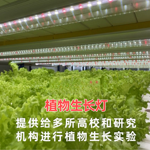 ȫ���Vֲ�����L�����̫ꖹ��҃ȷNֲ��ݮˮ���~���߲˻��ܾGֲ