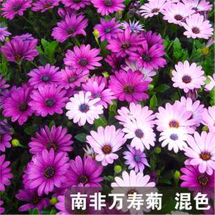 �Ϸ��f�۾ջ��N���{Ŀ�շN���ļ��N�׻��̨��������ͥԺ���N����