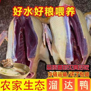 ���F���ٰl���r��ɢ�B�������������������_�����^צ��ȫ��