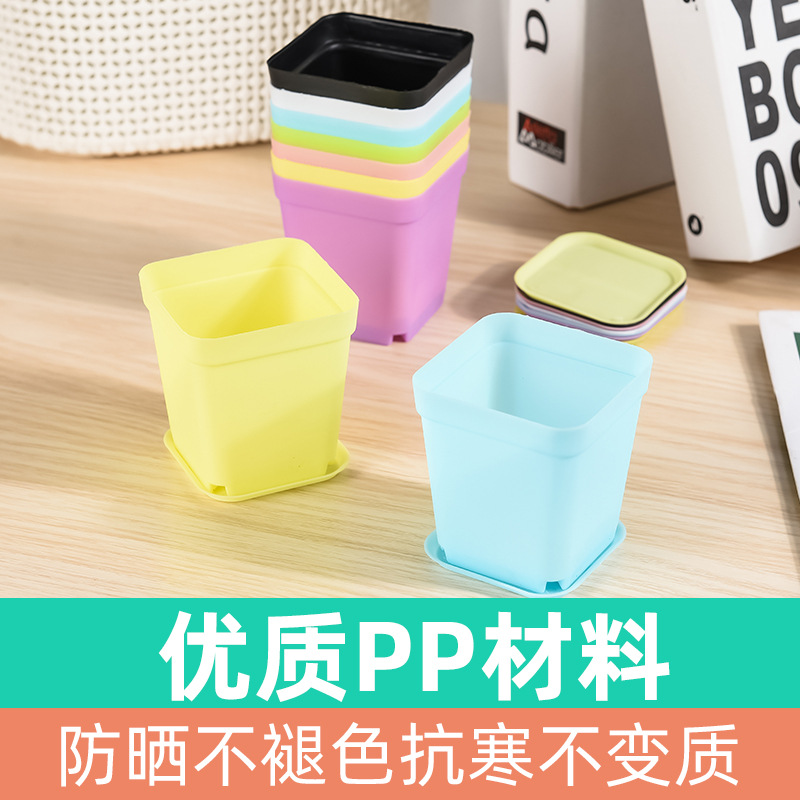 Fabricantes de macetas de plástico engrosadas con mucha carne pequeña maceta rectangular de color caramelo negro maceta de carne al por mayor