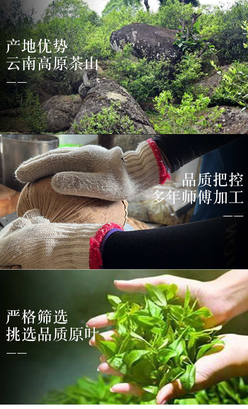 景迈茶饼详情页_04.jpg