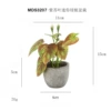MDS3207-Purple leaf mini pulp pot